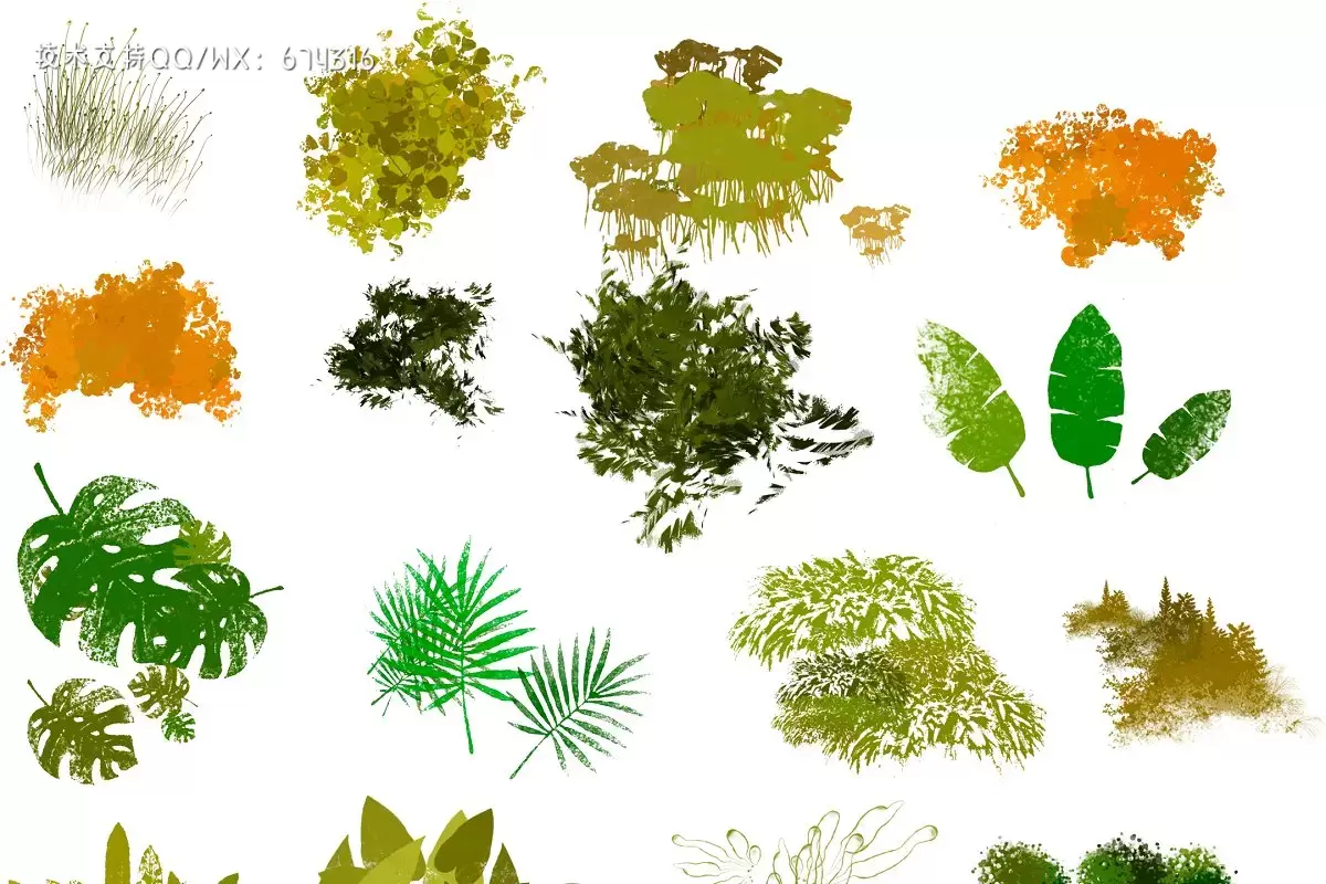 65款高质量的森林植物元素Photoshop画笔素材插图2
