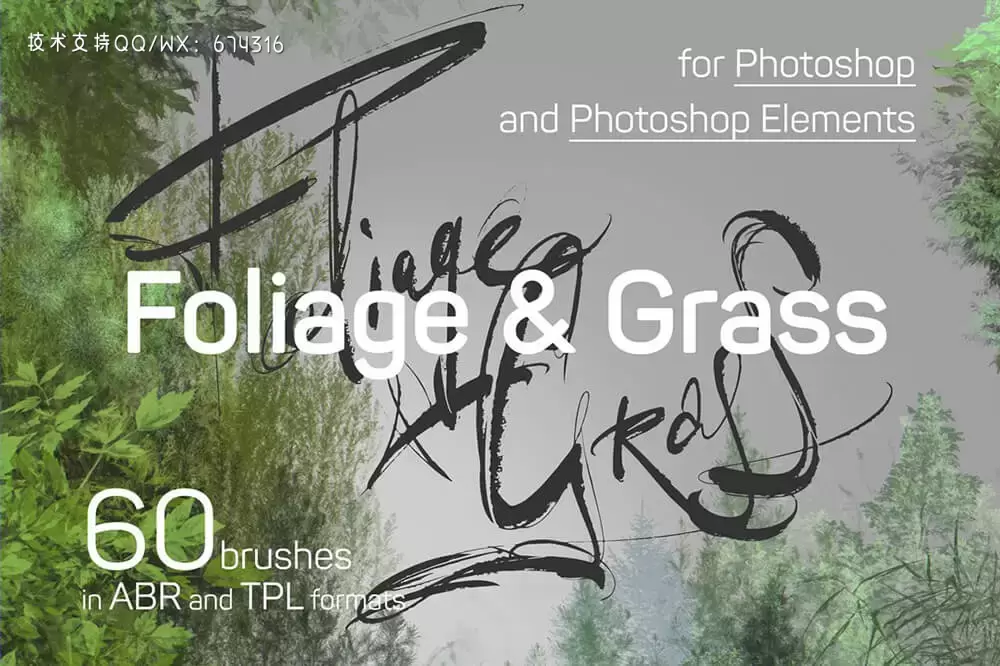 植物叶子和草元素ps笔刷 (abr)插图