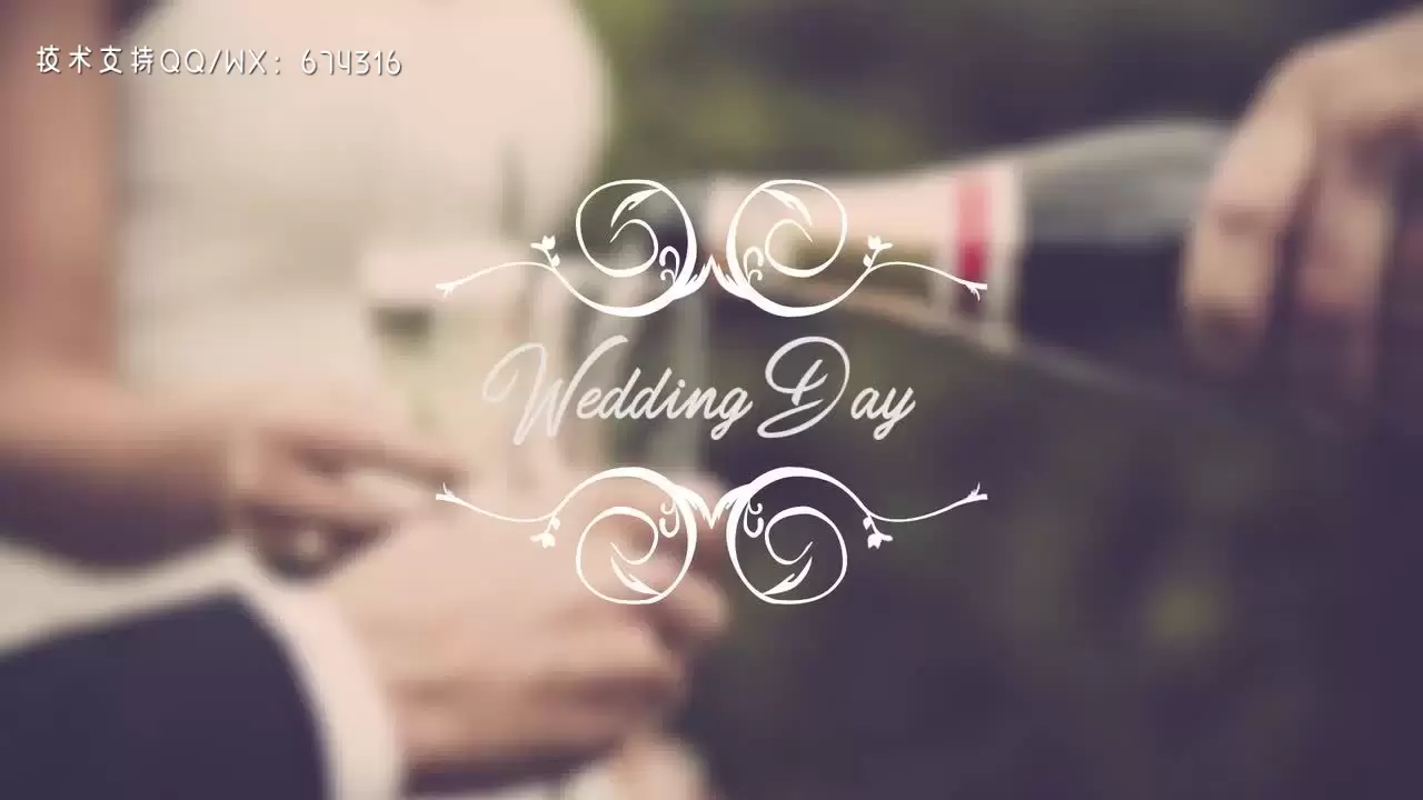 婚礼标题精美动画PR模板视频下载