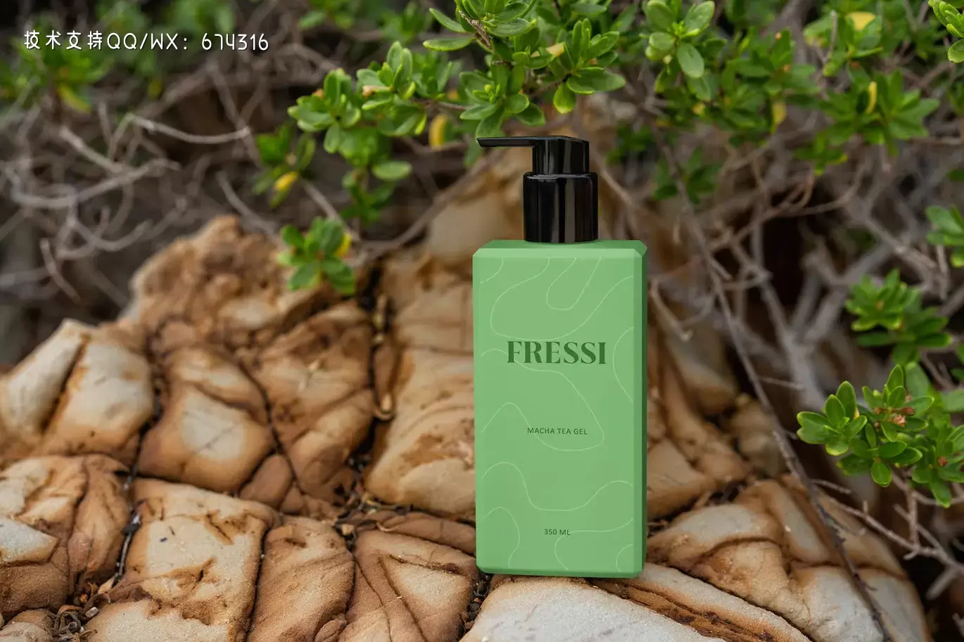 8ce2a839-0bb5-402d-8f95-14ccd4c4af00