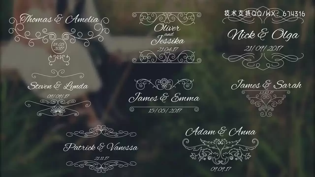8个浪漫婚礼标题动画PR模板视频下载