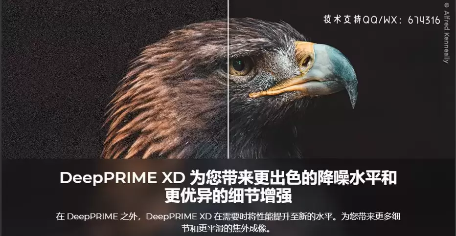 DxO PhotoLab(专业RAW图像后期处理智能降噪软件)v6.0.0 Build 3 (x64) WIN中文特别版插图10