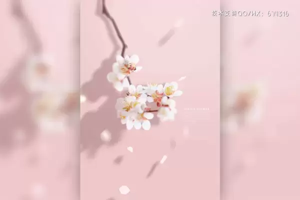 春季樱花花瓣手机壁纸背景素材 (psd)免费下载