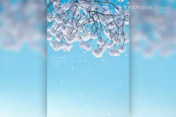 白色樱花蓝天风景手机壁纸背景素材 (psd)免费下载