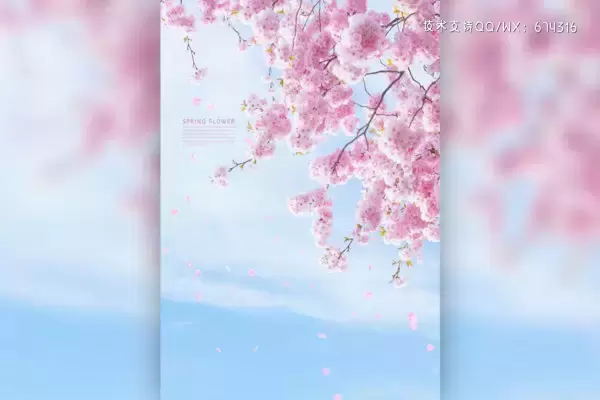 粉色樱花天空手机壁纸背景素材 (psd)免费下载