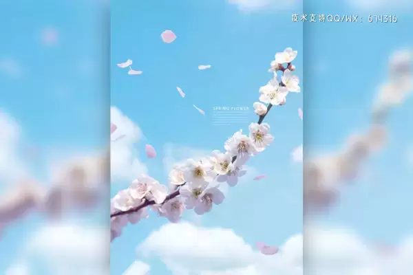 白色蓝天春季樱花手机壁纸背景素材 (psd)免费下载