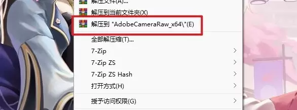 Adobe Camera Raw(RAW处理工具)v14.5 WIN官方版插图1