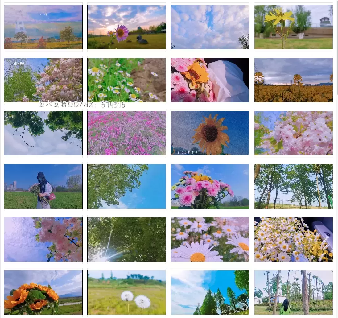 2800个治愈大美丽自然景色延时摄影森林风景空镜头短视频素材打包插图7