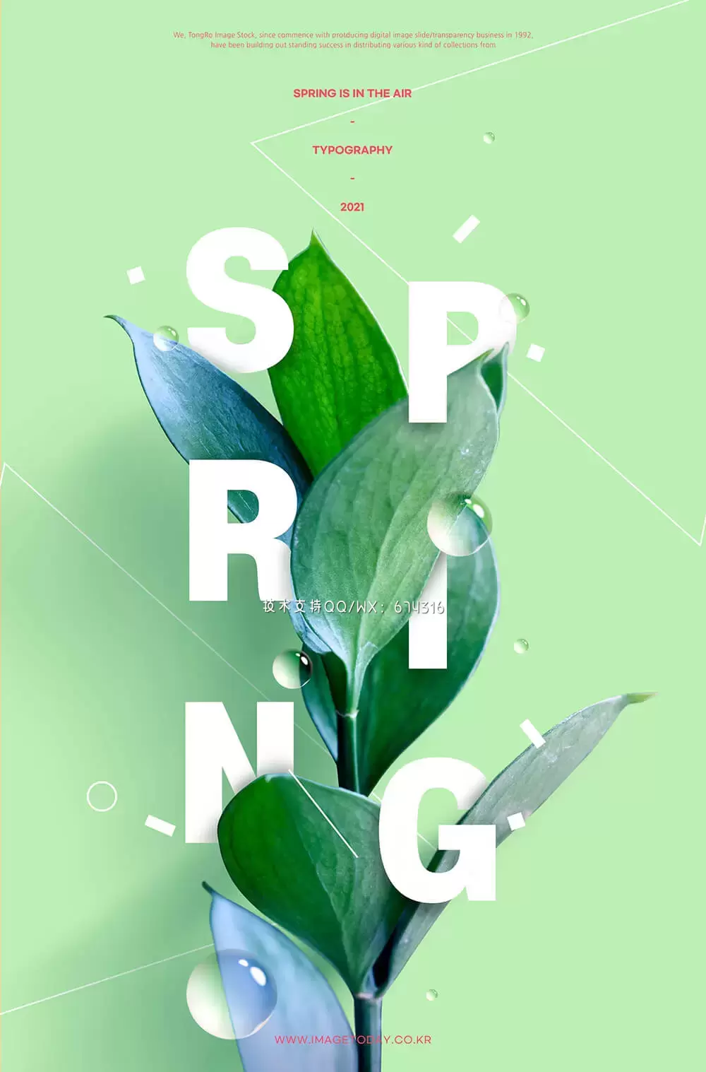 青葱绿植春天主题海报设计素材 (psd)插图