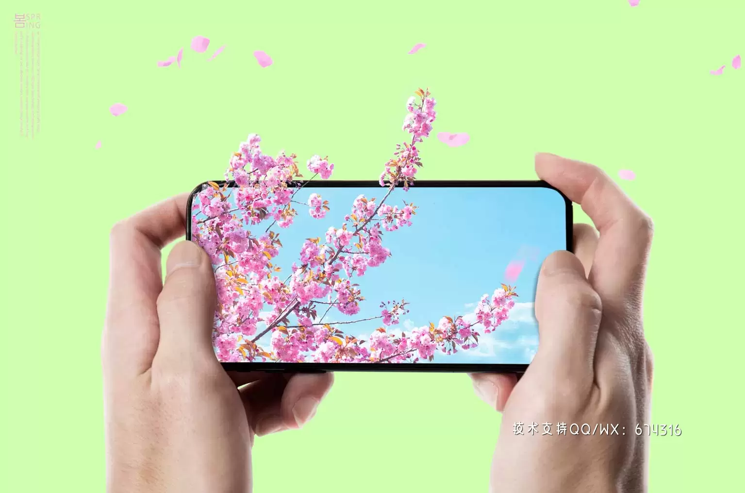 手机樱花风景春季主题海报设计 (psd)插图