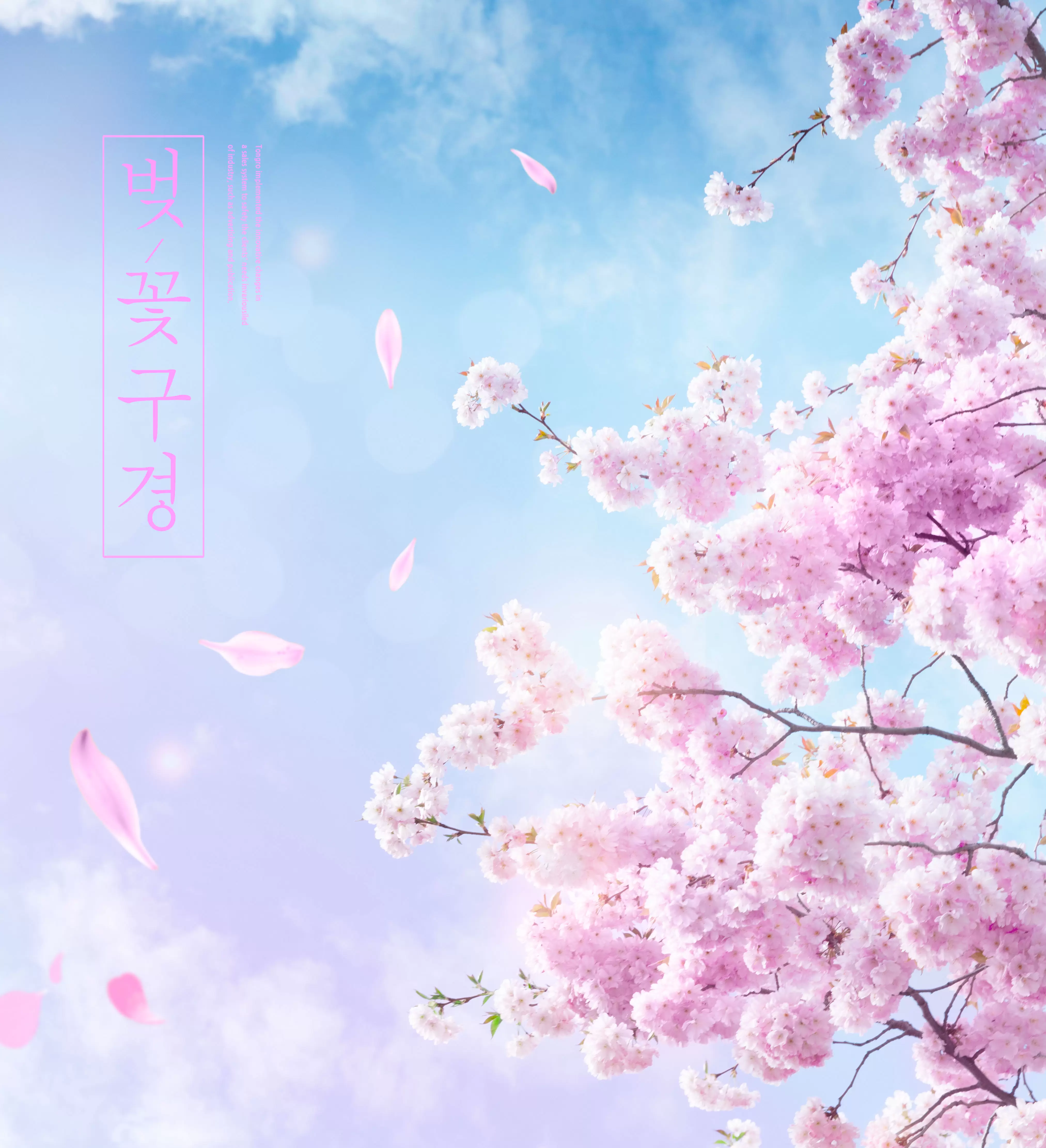粉色樱花浪漫春季海报设计模板 (psd)插图