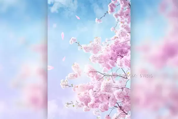 粉色樱花浪漫春季海报设计模板 (psd)免费下载