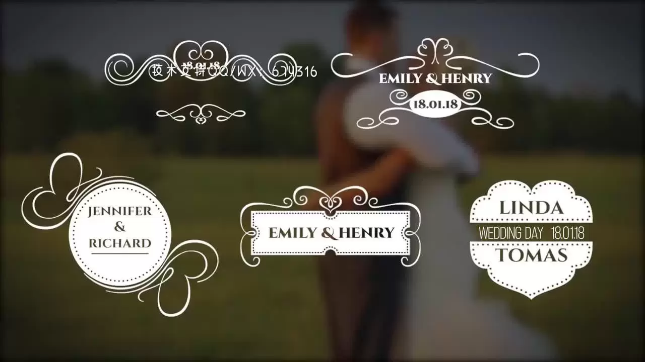 5个复古动画婚礼标题PR模板视频下载(含音频)插图