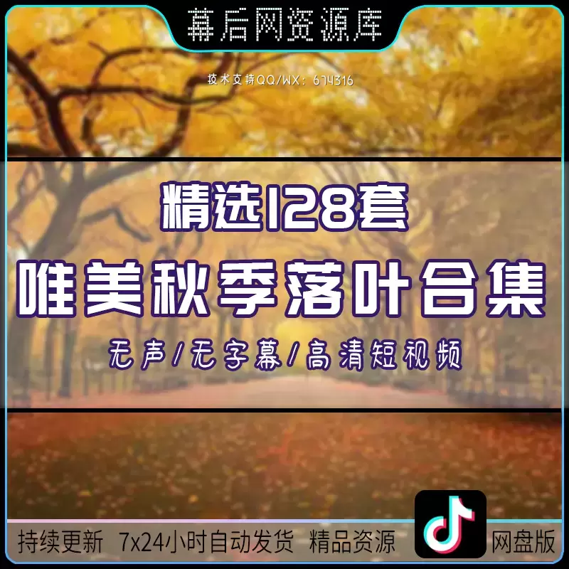 128+vlog唯美秋季秋天风景落叶短视频素材打包插图