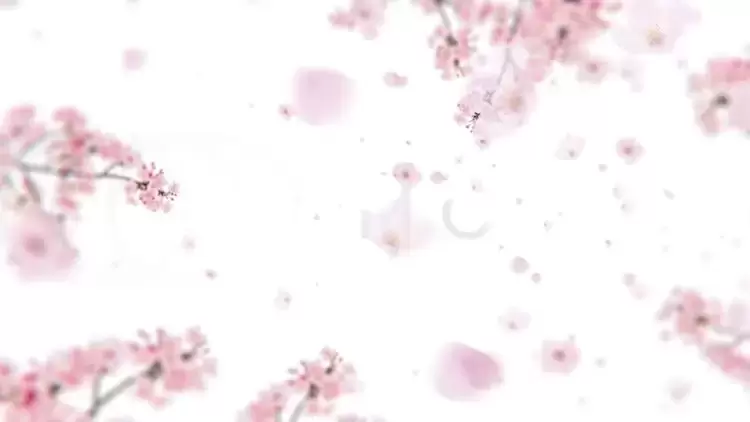 樱花标志揭晓AE模板视频下载(含音频)插图