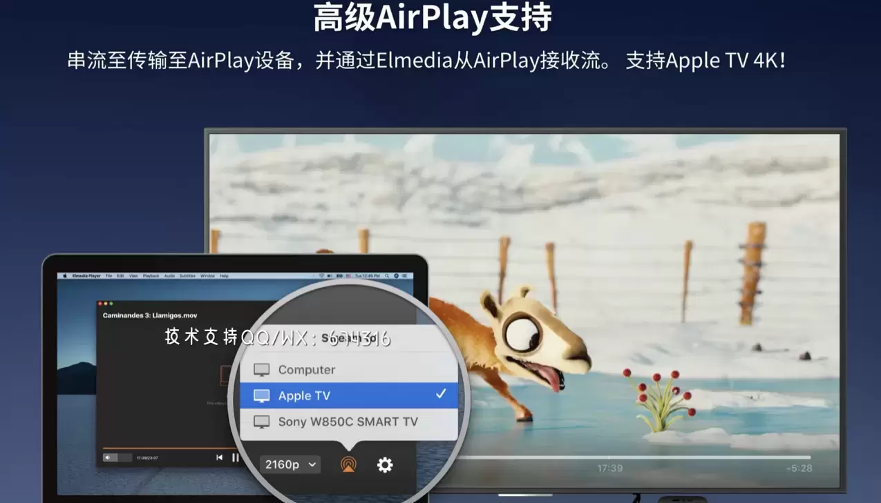 [MAC]Elmedia Video Player Pro for Mac(专业音视频播放器)  v8.10中文激活版 支持Apple M1/M2 芯片插图4