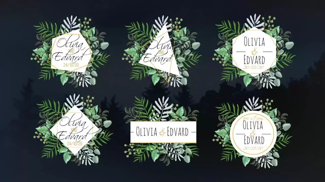 6个独特创意热带风情全屏婚礼标签动画PR模板视频下载(含音频)插图