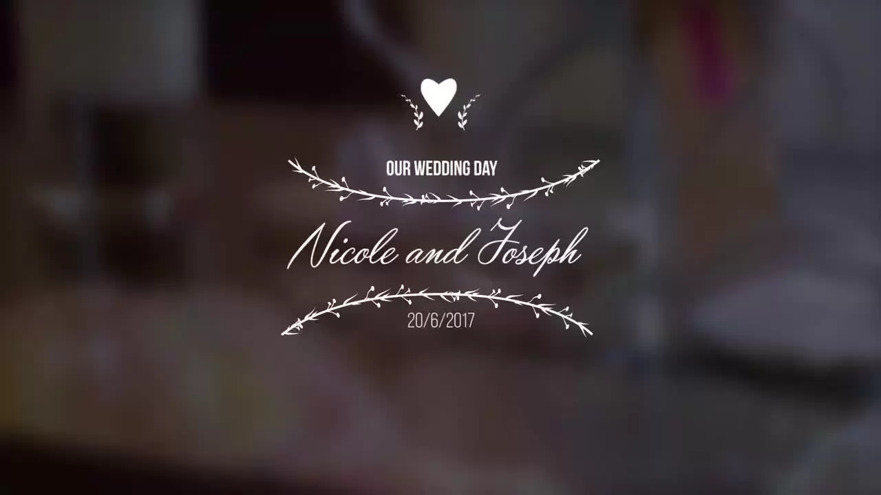 10个专业婚礼标题动画PR模板视频下载(含音频)插图