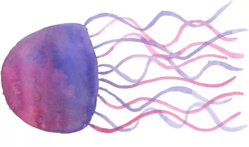 86款可爱水彩水母PNG免抠图素材插图11