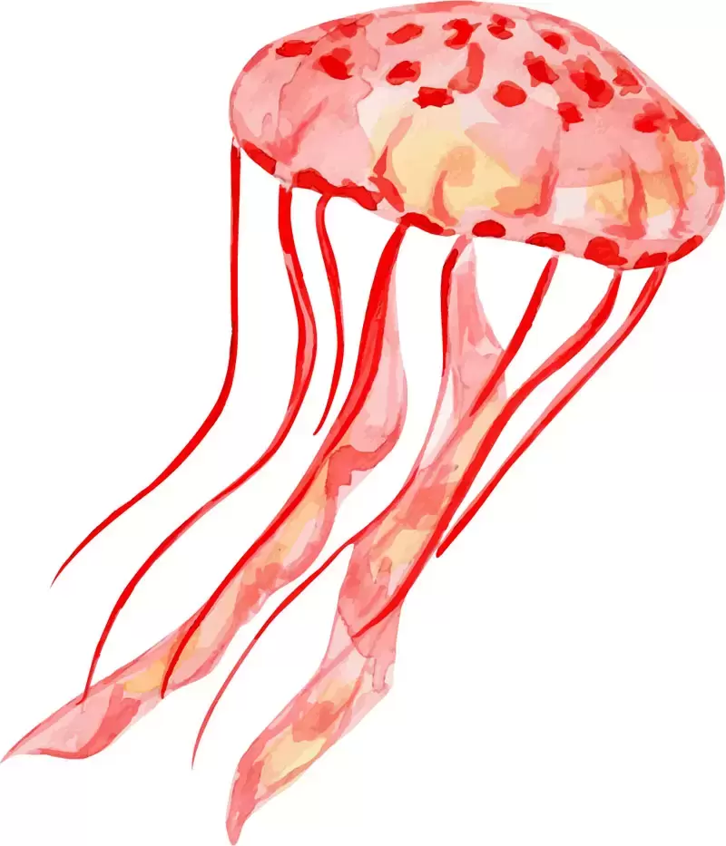 86款可爱水彩水母PNG免抠图素材插图12