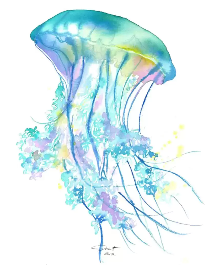 86款可爱水彩水母PNG免抠图素材插图18