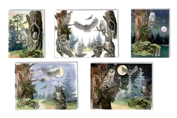水彩森林树木和猫头鹰剪贴画PNG免抠图插图7