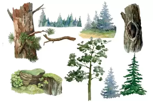水彩森林树木和猫头鹰剪贴画PNG免抠图插图2
