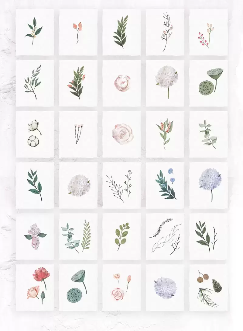 100+水彩花卉花朵花枝花环莲蓬花卉图案PNG免抠图插图6