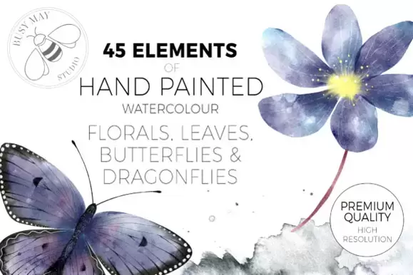 45种水彩手绘花卉蝴蝶花朵叶子PNG免抠图插图2