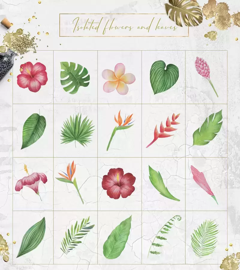 170+水彩花朵、叶子、水果、飞溅效果PNG免抠背景 框架 插图插图11