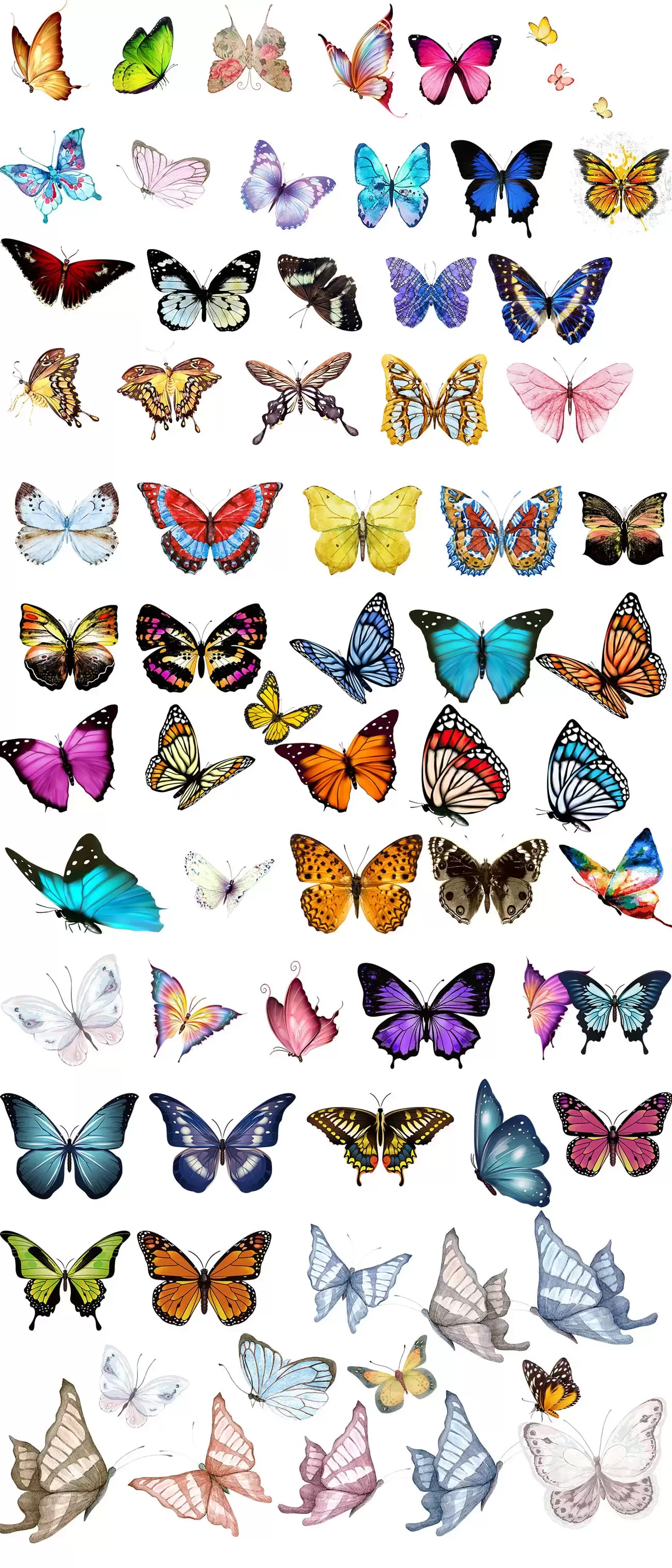 166款漂亮的彩色蝴蝶PNG免抠图插图1