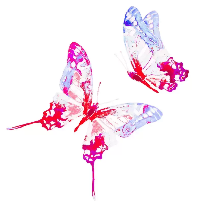 21款漂亮飞舞的彩色蝴蝶PNG免抠图插图1