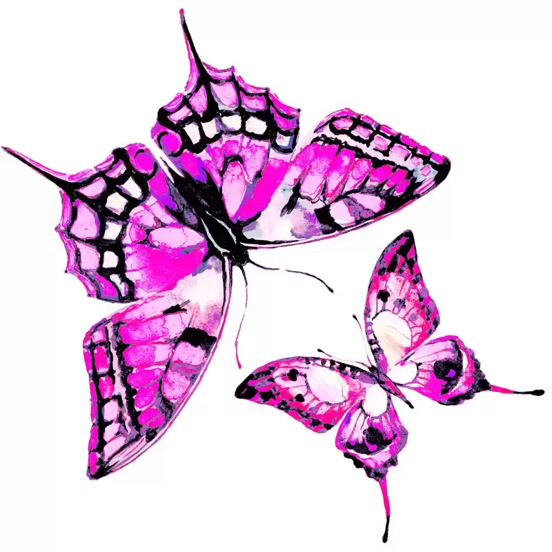 21款漂亮飞舞的彩色蝴蝶PNG免抠图插图3