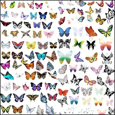 166款漂亮的彩色蝴蝶PNG免抠图插图
