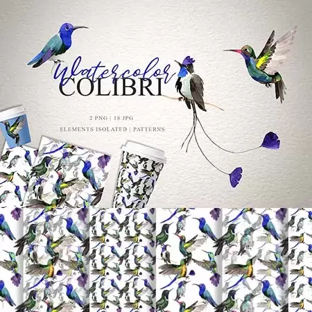 20款Colibri蜂鸟水彩png剪贴画插图