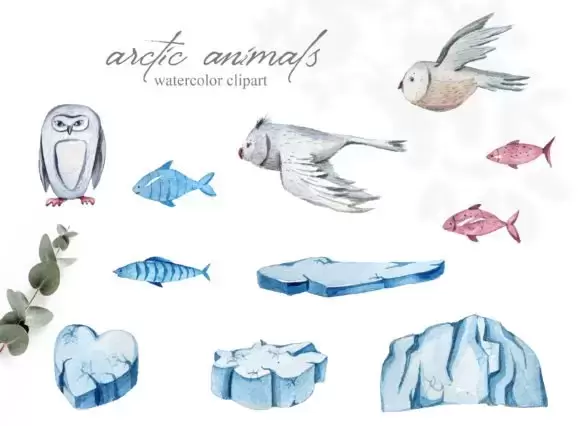 39款北极动物水彩剪贴画PNG免抠图插图2