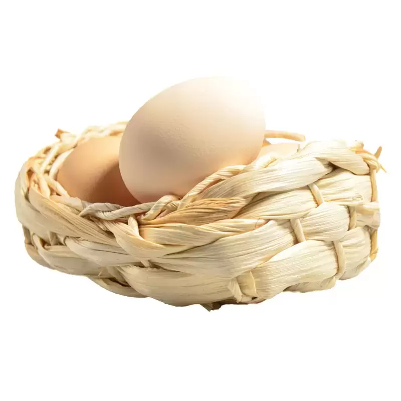 31款新鲜的生鸡蛋磕破的鸡蛋PNG免抠图插图15