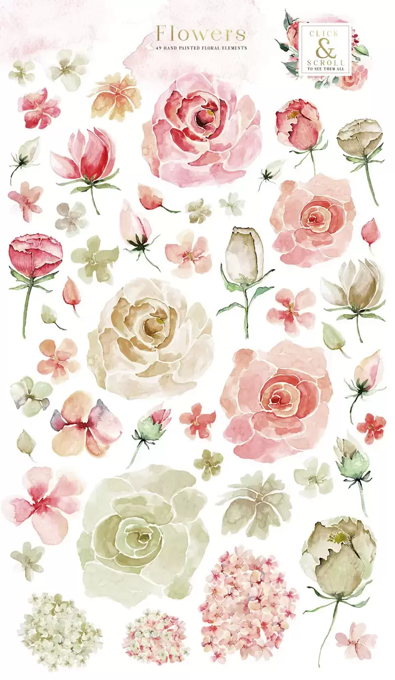 150多个水彩花环花朵花枝花框边框花卉图案PNG免抠图插图9