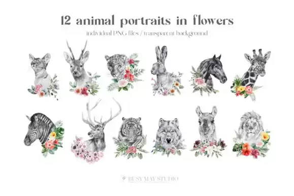 60款水彩动物花卉几何框架边框PNG免抠图插图6