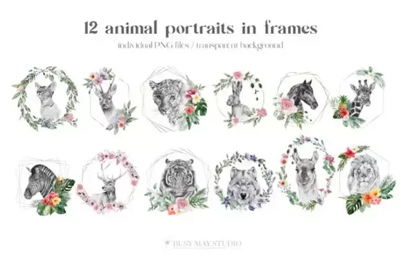 60款水彩动物花卉几何框架边框PNG免抠图插图4