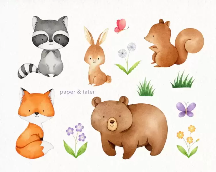 37可爱水彩森林动物PNG免抠图插图2