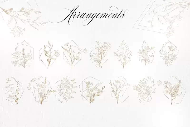 花卉花框花环和英文字母剪贴画PNG免抠图插图12