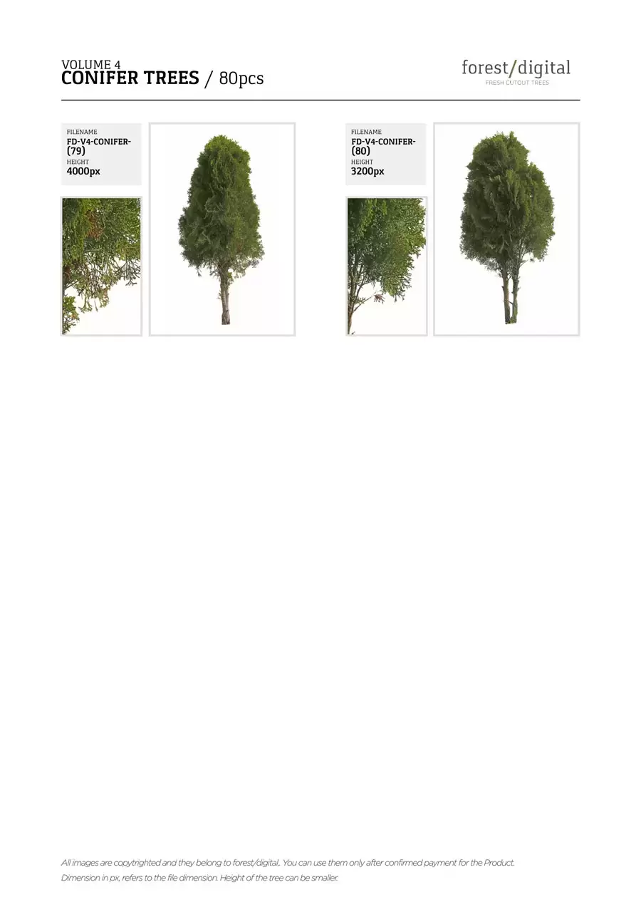 80P针叶树植物JPG/PNG免抠图素材插图21
