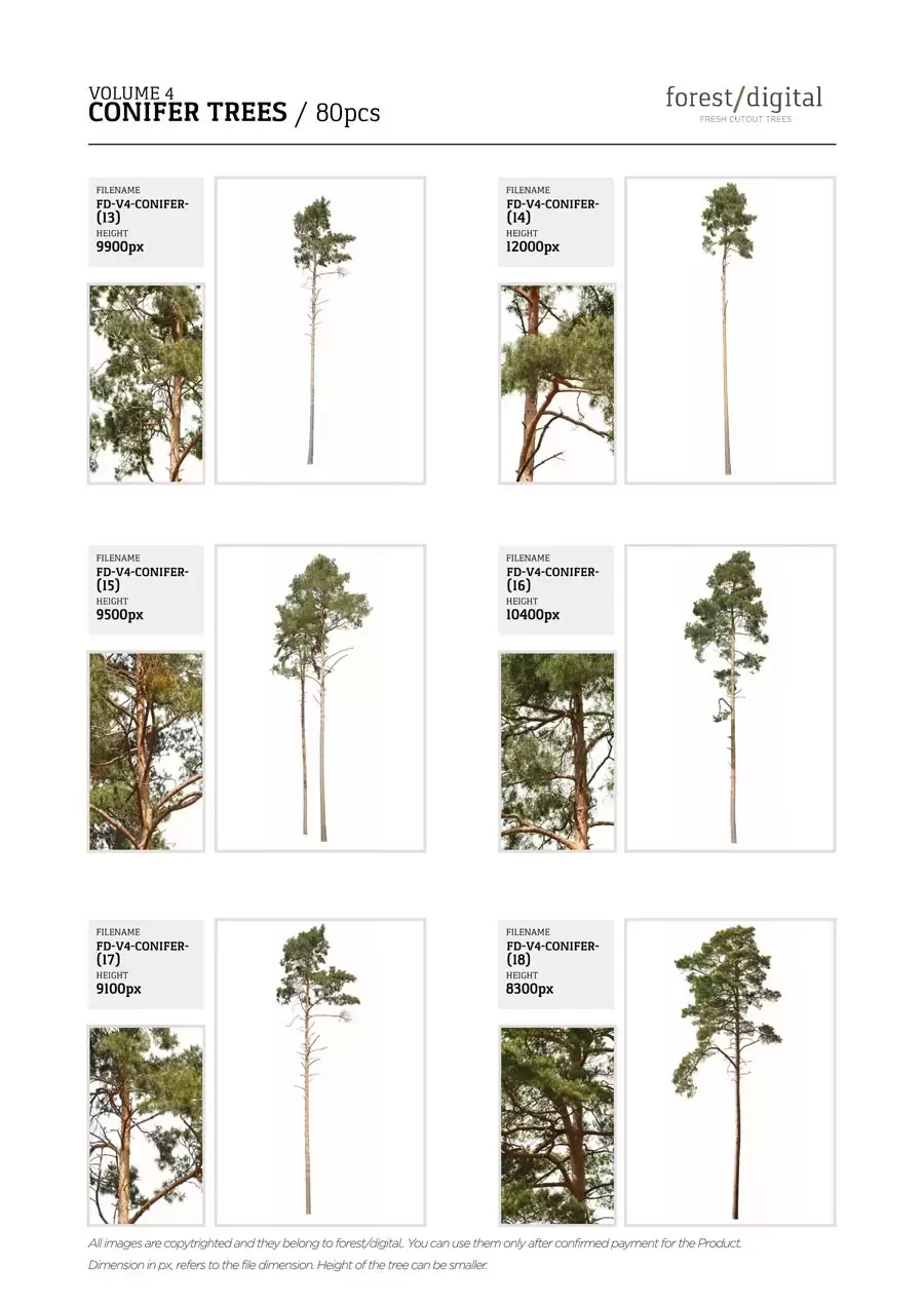 80P针叶树植物JPG/PNG免抠图素材插图9