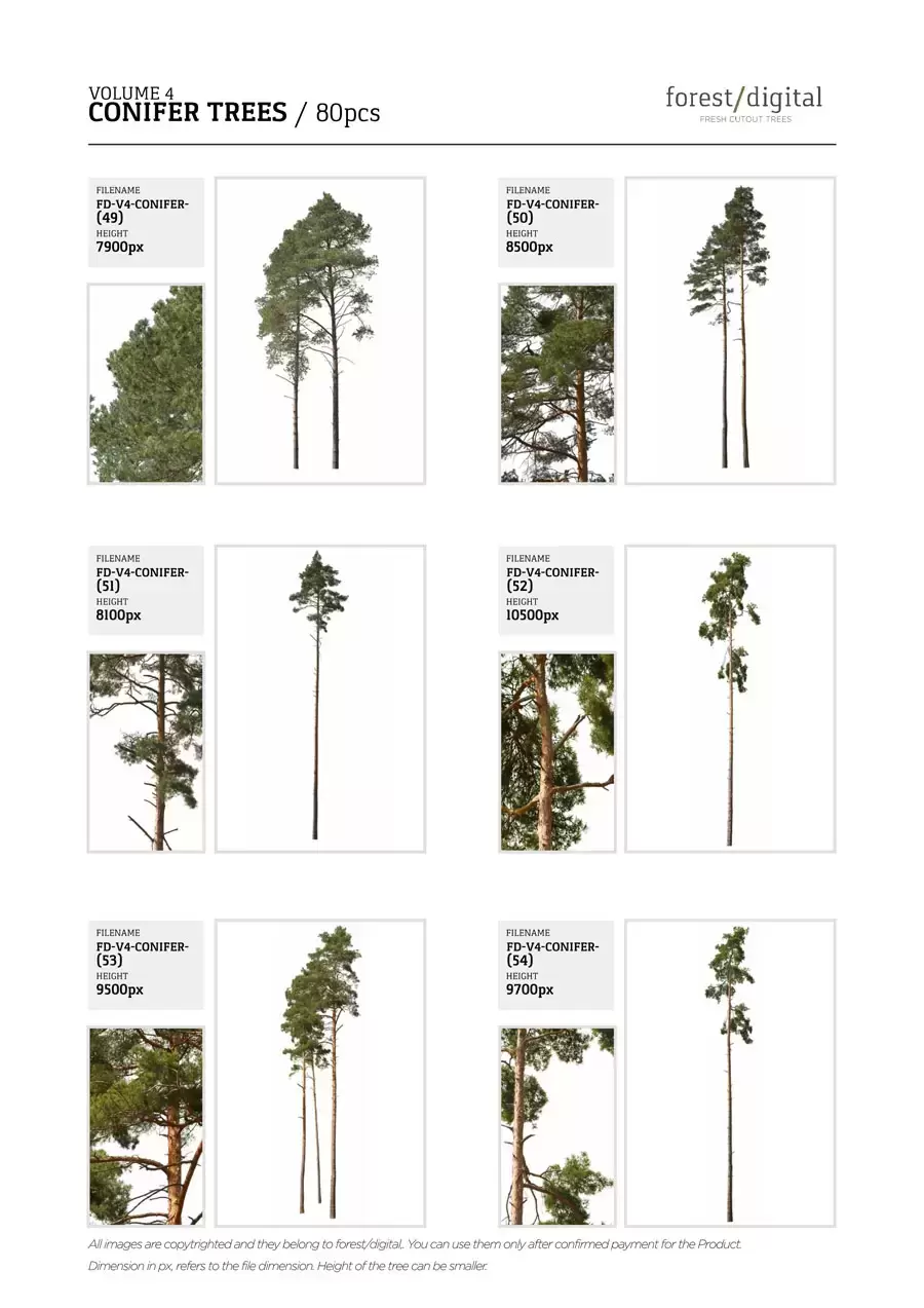 80P针叶树植物JPG/PNG免抠图素材插图16