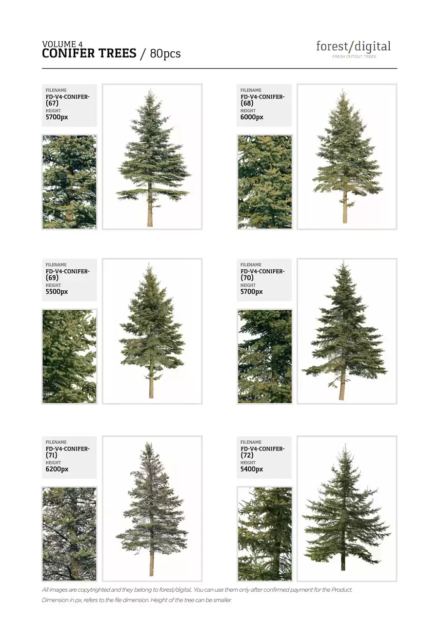 80P针叶树植物JPG/PNG免抠图素材插图19