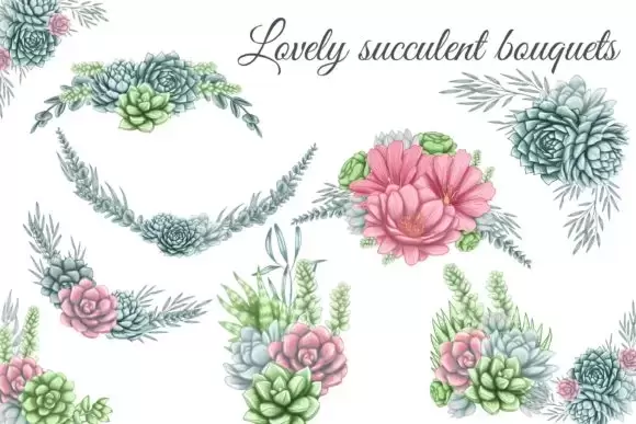 36个可爱水彩多肉桉树仙人掌花束植物PNG免抠图插图3