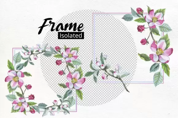 苹果花水彩花卉花朵 花环 花框图案PNG免抠图插图2