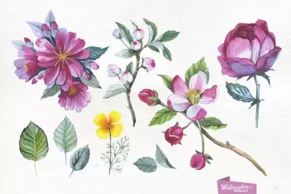 苹果花水彩花卉花朵 花环 花框图案PNG免抠图插图9