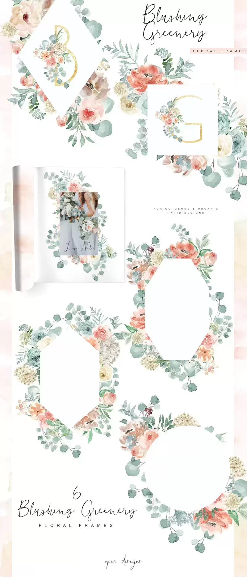 水彩花卉植物花环 背景 框架 花束和字母符号PNG免抠图插图12